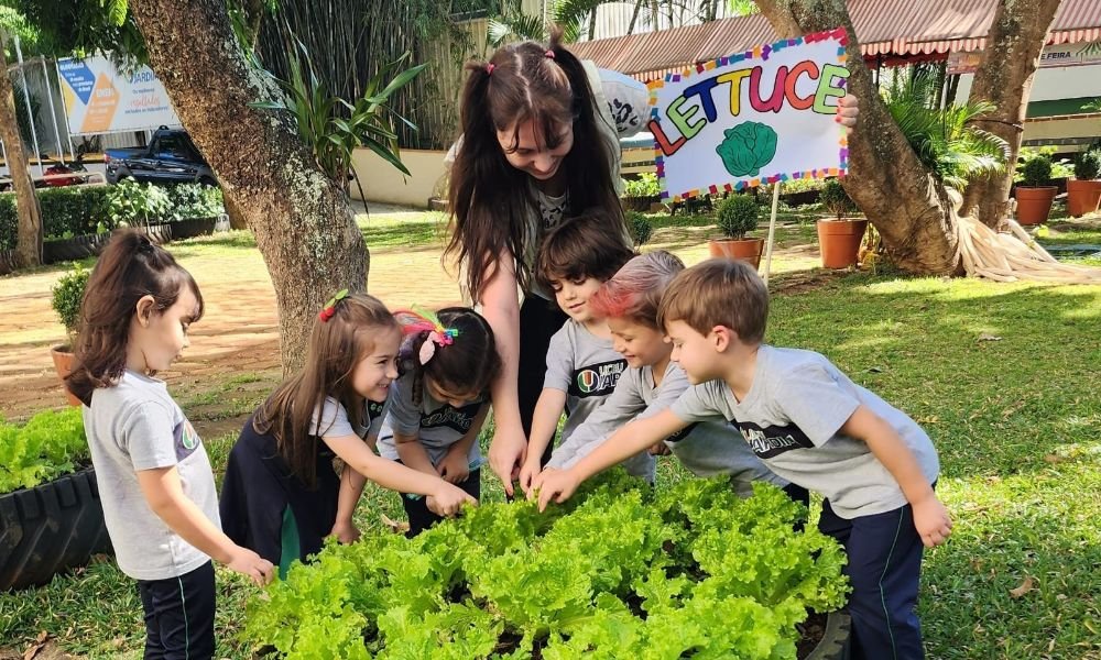 International Extension Programme