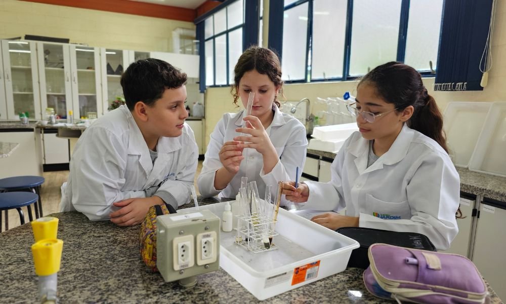 Ensino Fundamental - Anos Finais