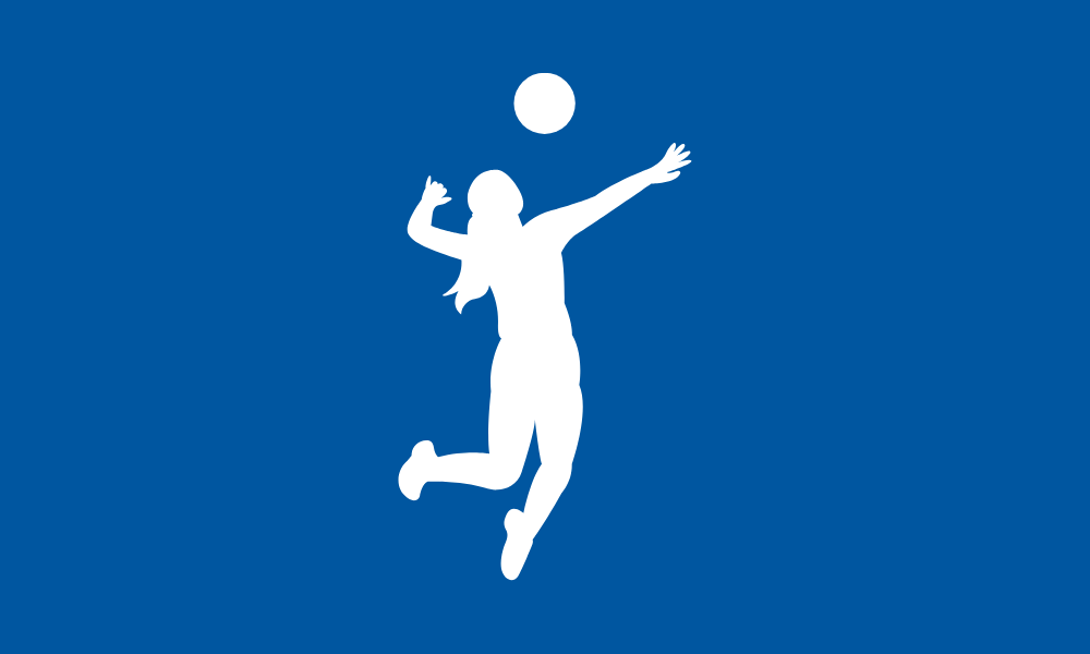 Voleibol