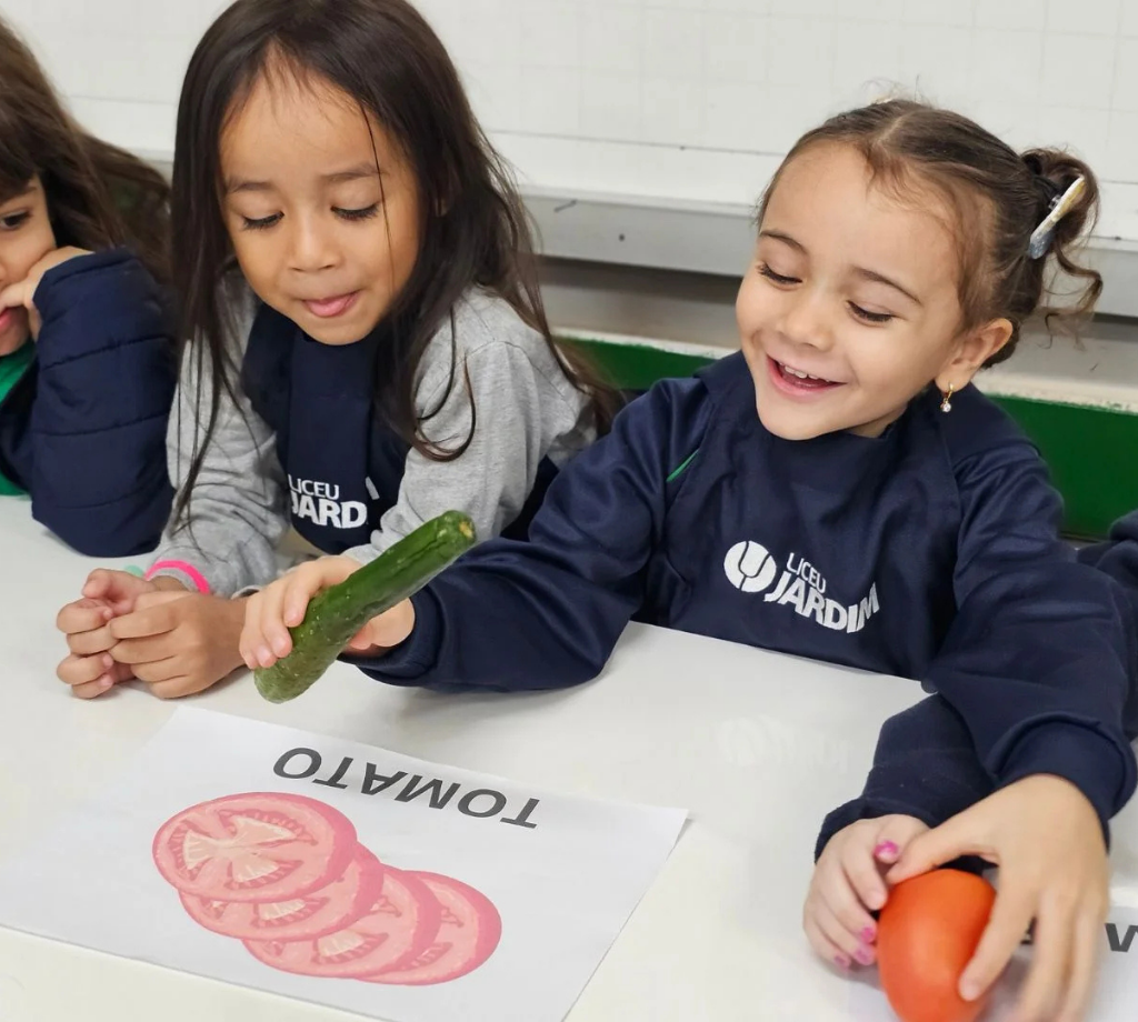 Sem nome (1024 x 920 px) (7)